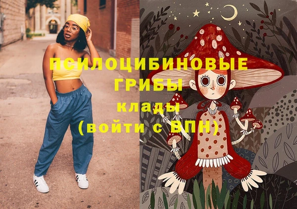 бошки Гатчина