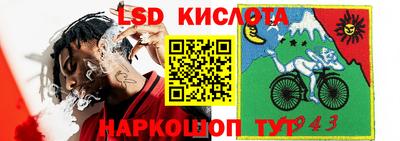 Альфа ПВП Кимры