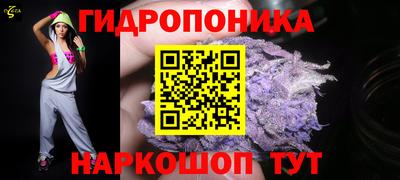 Альфа ПВП Кимры