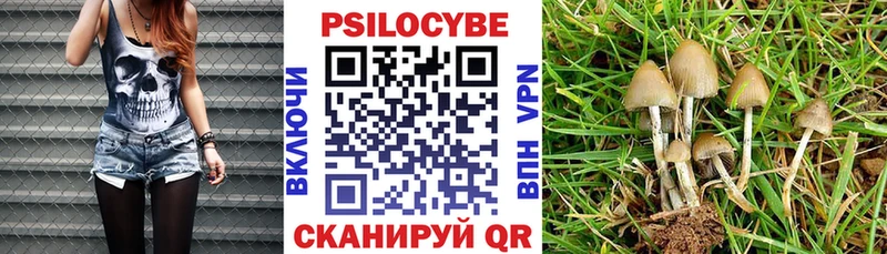 Галлюциногенные грибы Psilocybine cubensis  Ржев 