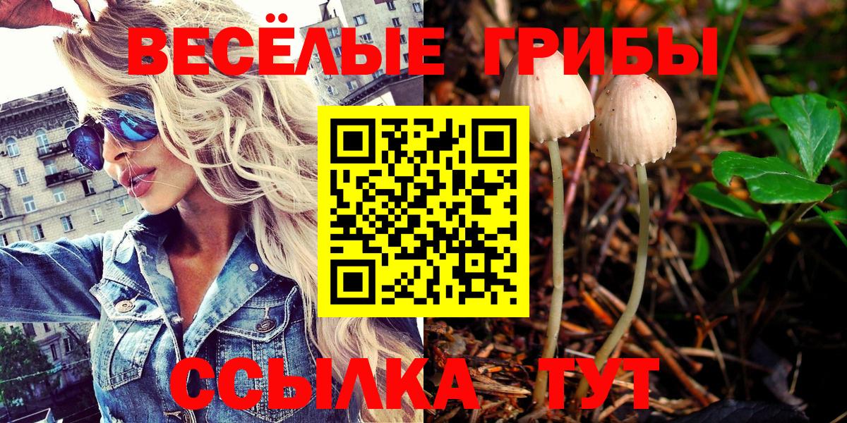 Бошки Шишки  Ржев  Вход с VPN  Гашиш  МДМА  МЕФ кристаллы  Бошки Шишки 